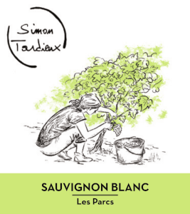 Sauvignon blanc - AOC Touraine