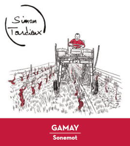 Gamay - AOC Touraine