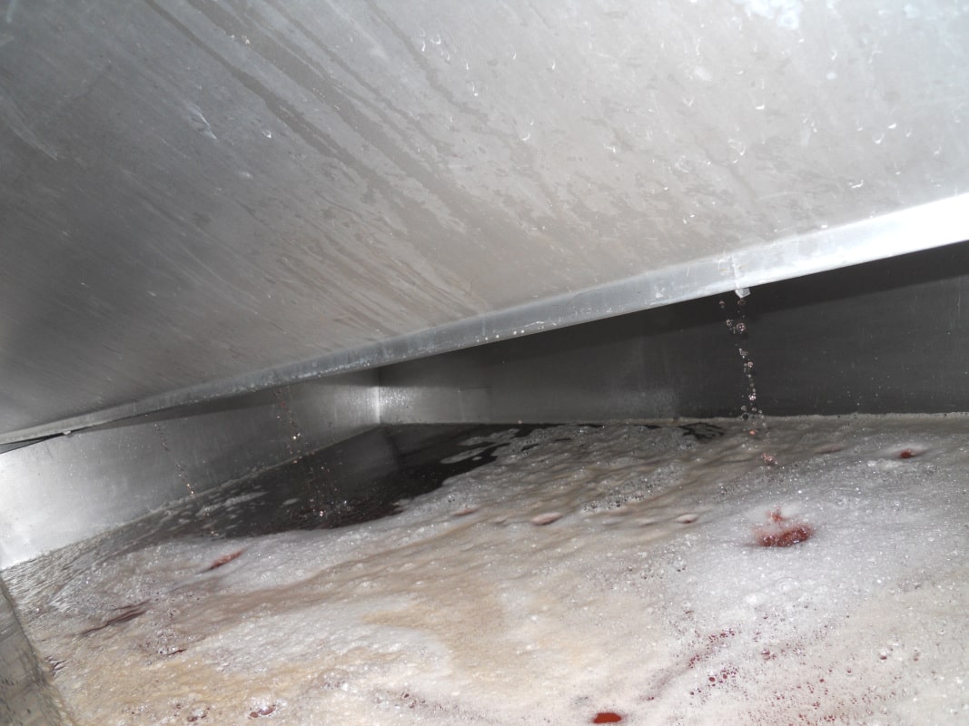 Jus lors du pressurage