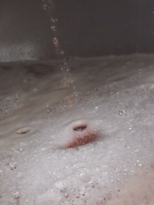 Jus de Pineau d’Aunis