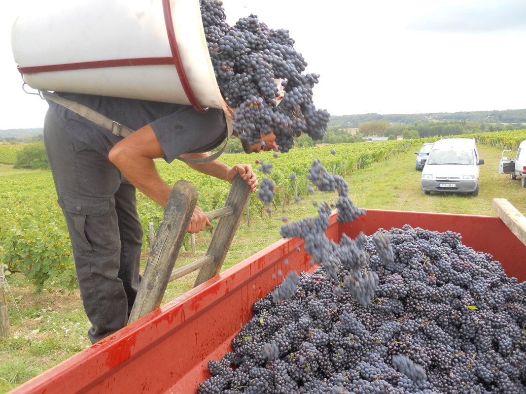 La hotte est vidée dans la benne