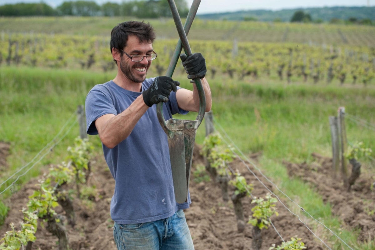 Le viticulteur présente un outil de type bêche-tube