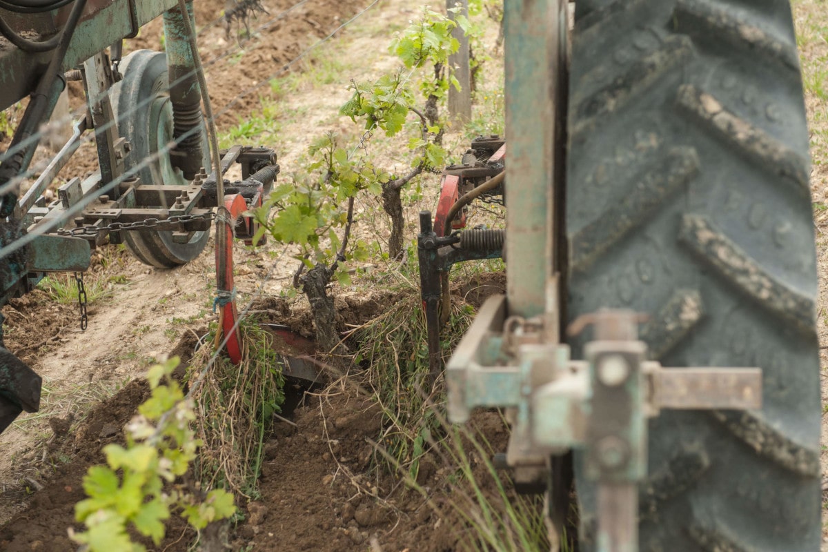 Le tracteur arrache l'herbe qui poussait au pied de la vigne