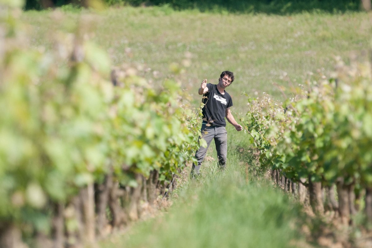 Il vérifie si les tiges dépassent de leur support