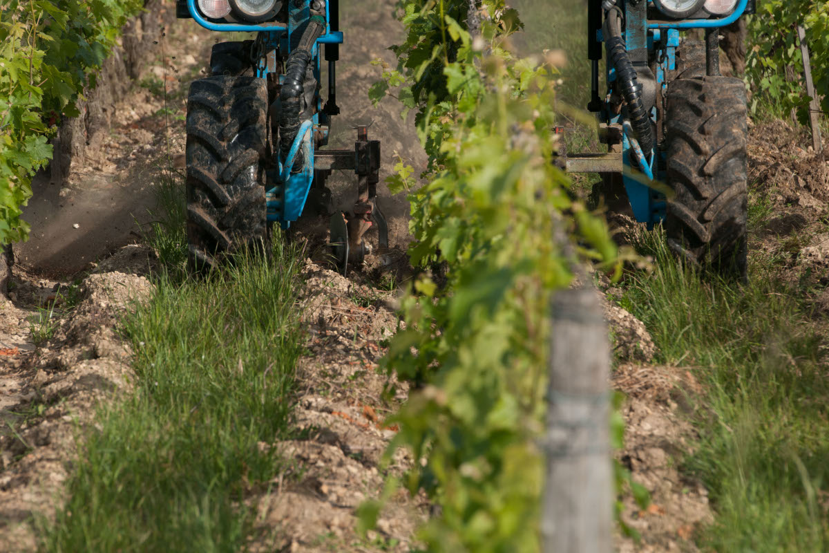 Zoom sur les sillons creusés
