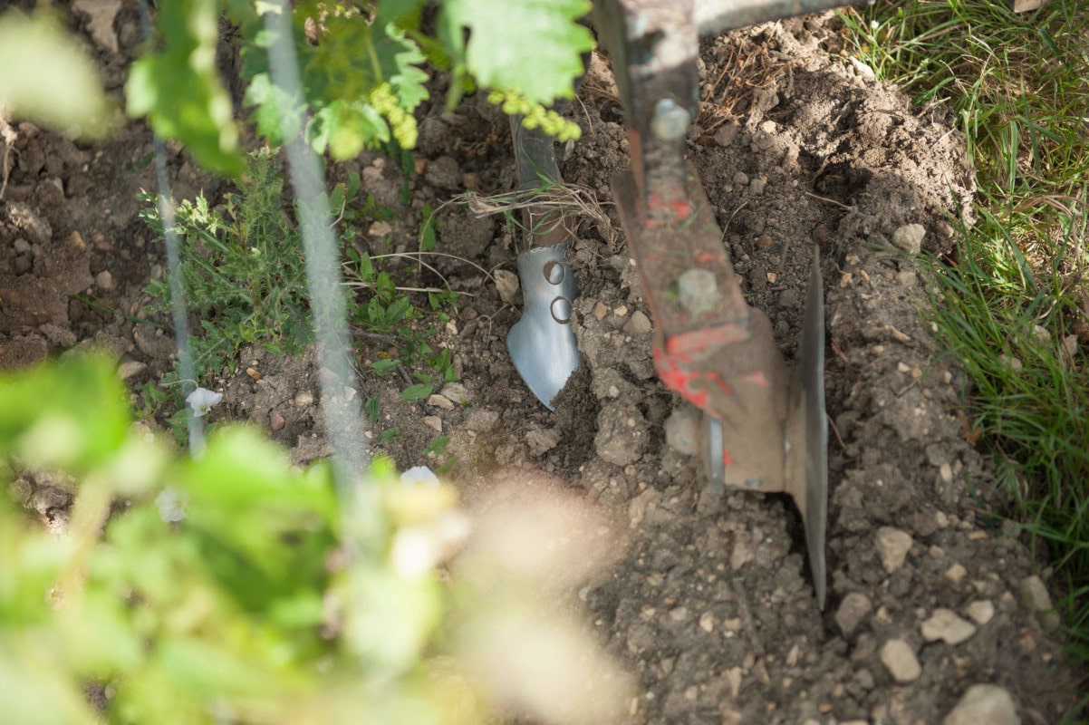 Zoom sur les socs pour retourner la terre