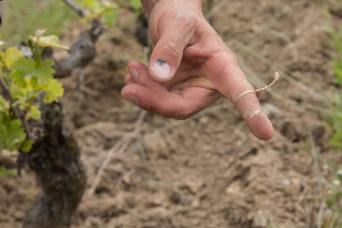 Le doigt est entouré par un lien noué