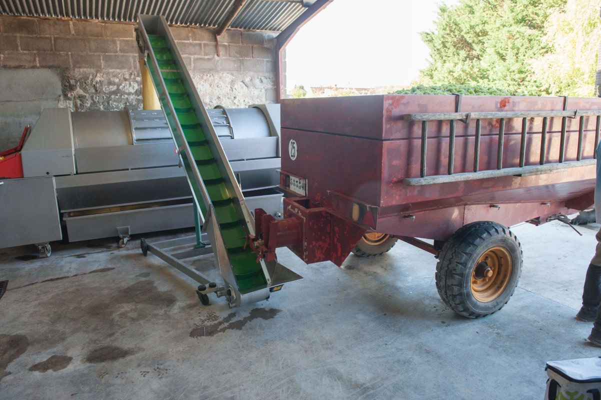 La girafe vue de face est une sorte de tapis roulant pour extraire les grappes de la remarque et les verser dans le pressoir