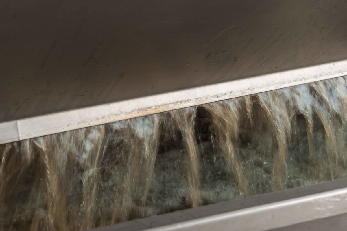 Le jus dans le pressoir