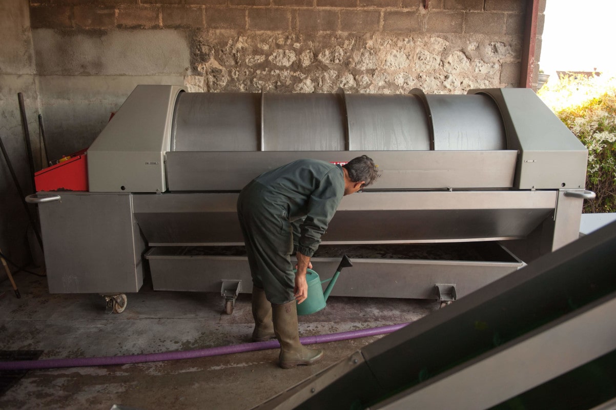 Le viticultueur vérifie l'extraction du jus